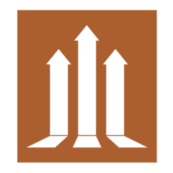 Maximize Consultancy